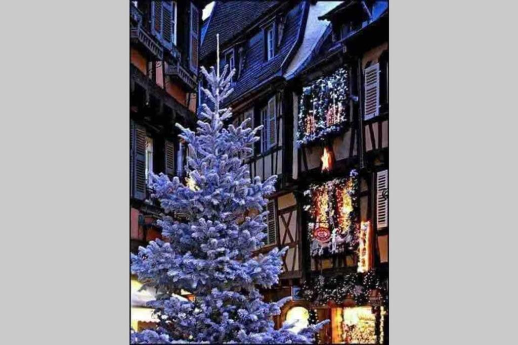 Apartamento Coeur Alsace Colmar Exterior foto
