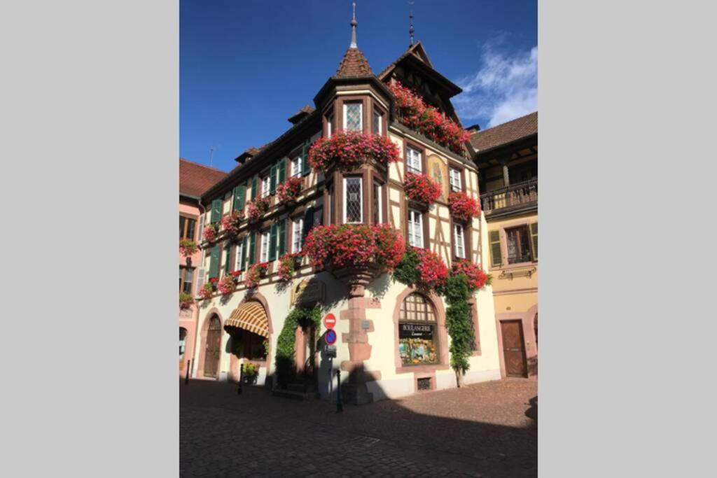 Apartamento Coeur Alsace Colmar Exterior foto