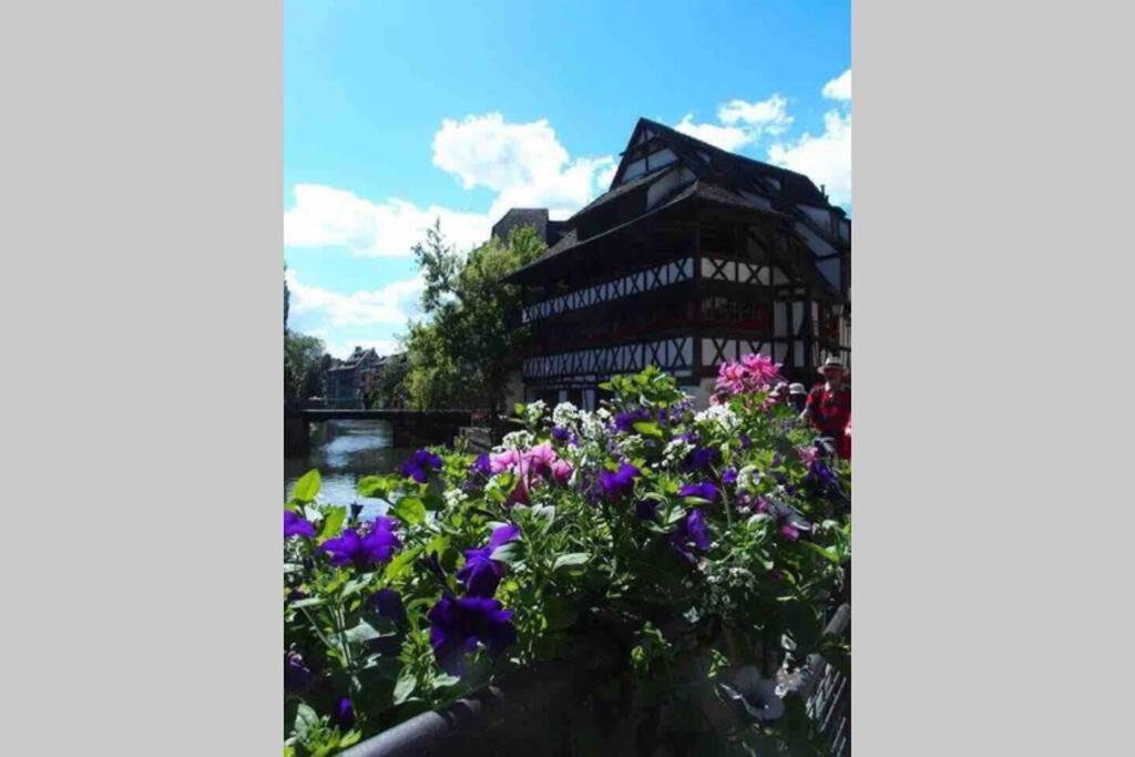 Apartamento Coeur Alsace Colmar Exterior foto