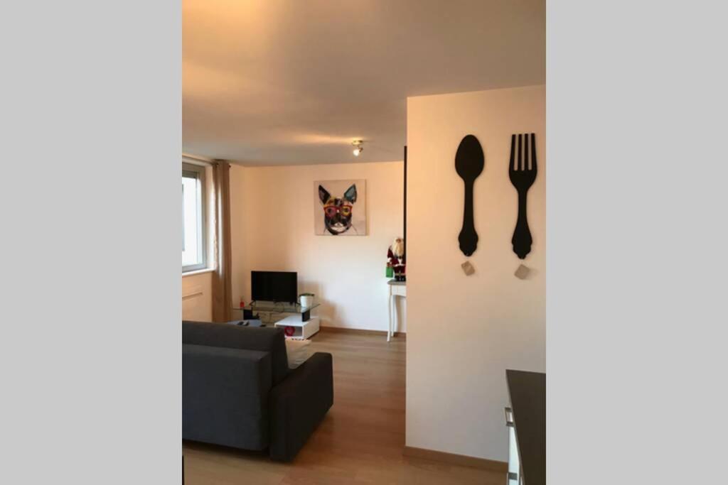 Apartamento Coeur Alsace Colmar Exterior foto